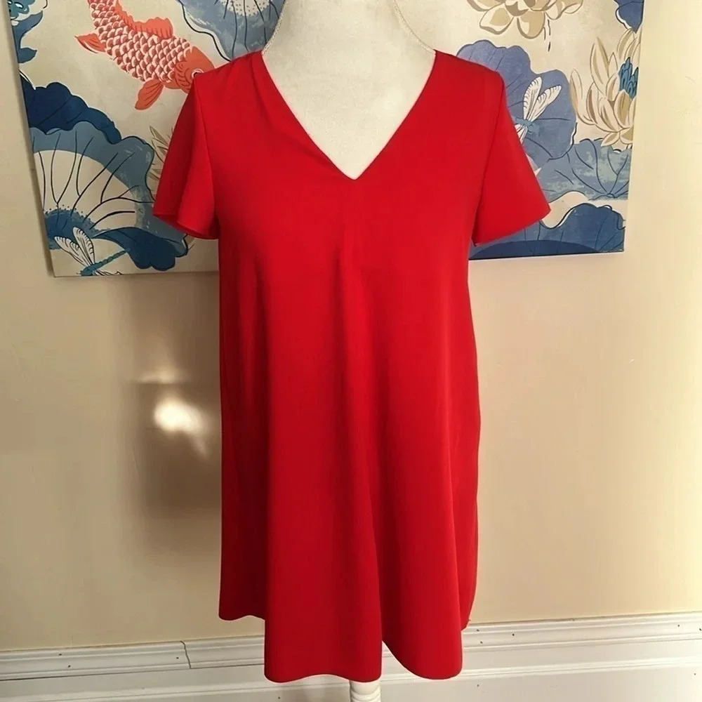 Zara Mini Dress